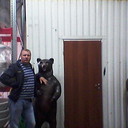 ���������� ������, ���� ������� ������, 52 ����, ������������ ��� ������, ����� � ���������, c�������� ���������