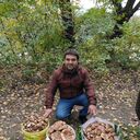 ���������� �������, ���� ������� Victor, 41 ���, ������������ ��� ������, ����� � ���������