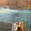 ���������� ������, ���� ������� ���������, 27 ���, ������������ ��� ������, ����� � ���������, c�������� ���������