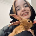 ,   , 23 ,     , c , 