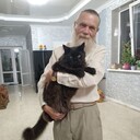  ,   , 62 ,   c 