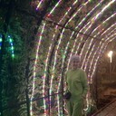 ���������� �������, ���� ������� �����, 51 ���, ������������ ��� ������, ����� � ���������