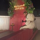 ���������� �����, ���� ������� ������, 36 ���, ������������ ��� ������, ����� � ���������, ���������