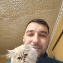 ���������� �������, ���� ������� �����, 40 ���, ������������ ��� ������, ����� � ���������