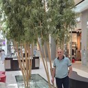  ,   , 52 ,   c 