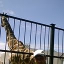 ���������� �����������, ���� ������� �����, 45 ���, ������������ ��� ����� � ���������, c�������� ���������