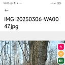 ���������� ������ �����, ���� ������� �����, 53 ����, ������������ ��� c�������� ���������, ���������