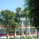 ���������� ������, ���� ������� �����, 45 ���, ������������ ��� ������