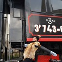 ���������� Moscow, ���� ������� ������, 56 ���, ������������ ��� ������, ����� � ���������, c�������� ���������