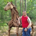  ,   , 46 ,   ,   , c , 