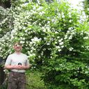 ���������� ������, ���� ������� �������, 53 ����, ������������ ��� ������, ���������