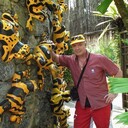  ,   , 62 ,   ,   , 