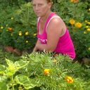 ���������� ����������, ���� ������� ������, 50 ���, ������������ 