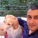 ���������� �����, ���� ������� ���, 36 ���, ������������ ��� ������, ����� � ���������, c�������� ���������, ���������