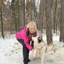  ,   , 51 ,  