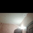 ���������� ������� ��������, ���� ������� ���, 38 ���, ������������ ��� ������, ����� � ���������, c�������� ���������