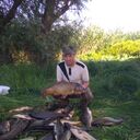  ,   , 53 ,   ,   , 