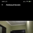 ���������� ���������, ���� ������� ���, 38 ���, ������������ ��� ������, ����� � ���������, c�������� ���������