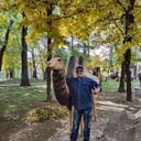  ,   , 60 ,     , 