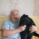  ,   , 65 ,     , c 