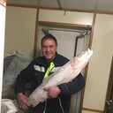 ���������� ����������, ���� ������� ����, 49 ���, ������������ ��� ������, ����� � ���������, c�������� ���������, ���������