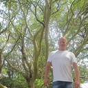 ���������� ������, ���� ������� ����, 37 ���, ������������ ��� ������, ����� � ���������, c�������� ���������