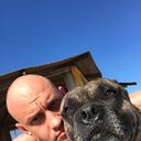 ���������� �����-���������, ���� ������� ���, 39 ���, ������������ ��� ������, ����� � ���������