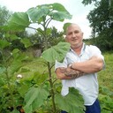 ���������� �����, ���� ������� �������, 49 ���, ������������ ��� ������, ����� � ���������