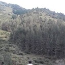 ���������� ������, ���� ������� ���������, 39 ���, ������������ ��� ������