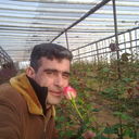 ���������� ����, ���� ������� ������, 43 ����, ������������ ��� ������, ����� � ���������, c�������� ���������