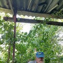  ,   , 61 ,   ,   , c , 