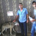  ,   , 45 ,   ,   