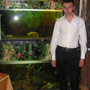 ���������� ������, ���� ������� ������, 38 ���, ������������ ��� ������, ����� � ���������, c�������� ���������, ���������