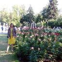  ,   , 50 ,   c 
