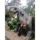 ���������� �����������, ���� ������� �������, 48 ���, ������������ 