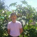 ���������� �������, ���� ������� �����, 38 ���, ������������ ��� ������, ����� � ���������, c�������� ���������