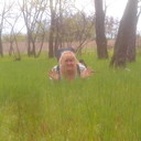   ,   , 56 ,     , c 