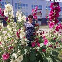  ,   , 60 ,   ,   