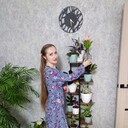 ���������� ������ ��������, ���� ������� �������, 44 ����, ������������ ��� c�������� ���������