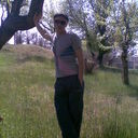  -,   , 43 ,   