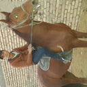  ,   2441100, 32 ,     , c , 