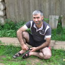  ,   , 45 ,   