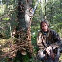 ���������� ���������, ���� ������� �������, 37 ���, ������������ ��� c�������� ���������, ���������