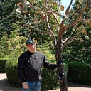 ���������� �����������, ���� ������� �������, 48 ���, ������������ ��� c�������� ���������