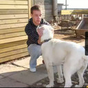 ���������� ��������, ���� ������� Andrey, 39 ���, ������������ ��� ������, ����� � ���������, c�������� ���������, ���������