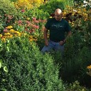 ���������� �����������, ���� ������� ����������, 56 ���, ������������ ��� ����� � ���������, c�������� ���������