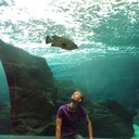  -,   , 36 ,   ,   , c , 