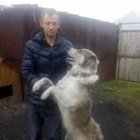  ,   , 41 ,   ,   , c , 