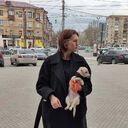 ���������� ����, ���� ������� �����, 22 ����, ������������ ��� ������, ����� � ���������