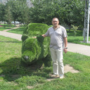  -,   , 55 ,   ,   , c 